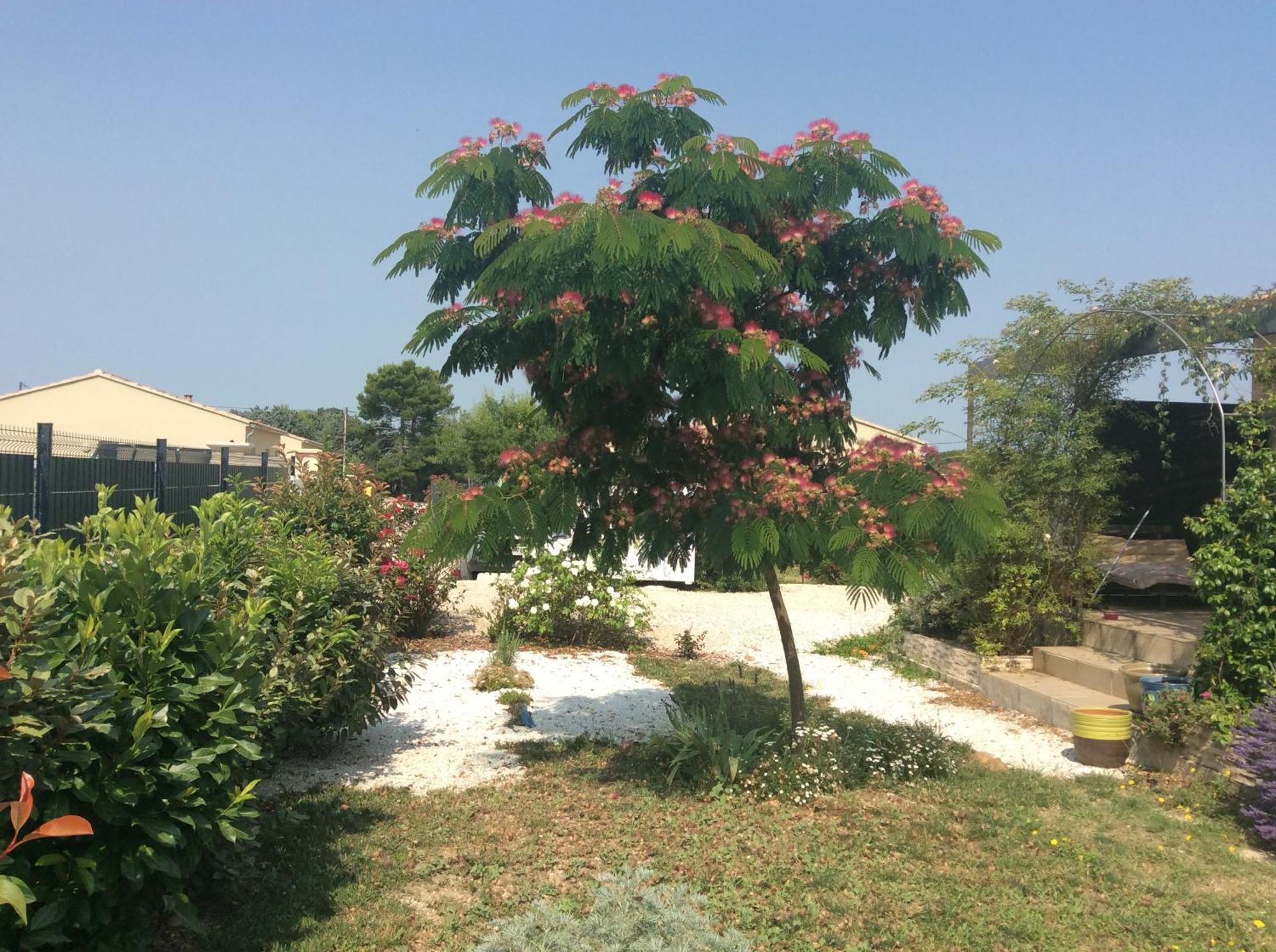 Chambre D Hotes Dans Le Vaucluse مازان المظهر الخارجي الصورة